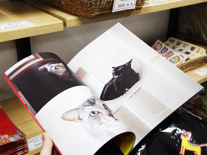 ▲ねこたちの写真が盛りだくさんです。